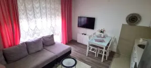 apartman_aleksic_jagodina013