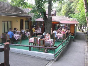 restoran-potok-jagodina053